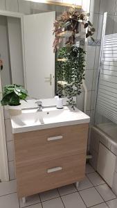 La salle de bains est pourvue d'un lavabo, d'un miroir et de plantes. dans l'établissement JunglAppart - Votre Refuge Jungle Proche de la Gare et du Centre-Ville, avec Garage, à Dijon 22 autres photos