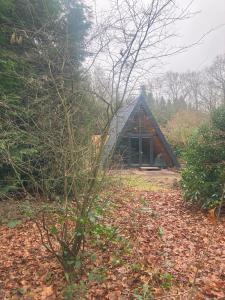 สวนหย่อมนอก A-huis in het bos van Drenthe