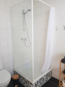 a shower in a bathroom with a toilet at Onder de Beukenboom in Nieuwe Pekela +27 photos