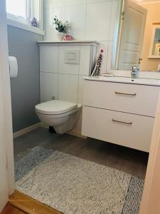 a bathroom with a toilet and a sink and a mirror at Stor enebolig sentralt på Senja in Senja