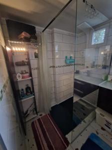 a small bathroom with a shower and a sink at Sirine57 Charming House for 5 Guests Large Private Parking for Cars Vans in Florange +61 photos