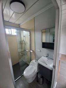 a bathroom with a toilet and a sink and a shower at Yin Garden Lodge Fortuna in Fortuna