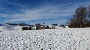 Gemütliche 2 Zimmerwohnung im Grünen v zimě