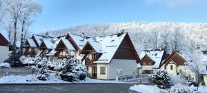 a building covered in snow with trees and a mountain at Luksuswy Domek Fantazja z sauną i kominkiem przy stoku narciarskim in Karpacz