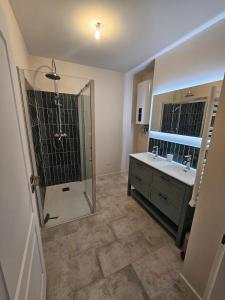 a bathroom with a shower and a sink at L'authentique - Appartement 4 in Loudéac +6 photos