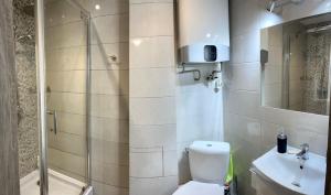 a bathroom with a shower and a toilet and a sink at Studio Zielony Ryneczek in Zamość