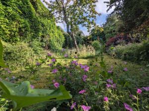 a garden with pink flowers in the grass at Isle of Yoga Garden Flat in Shanklin