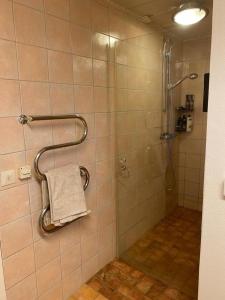 a bathroom with a shower with a towel at Mysig lägenhet med villakänsla in Gothenburg