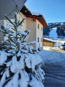 Fotografia z galérie ubytovania Haus Traninger vo Flachau