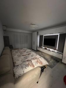 Fotografie z fotogalerie ubytování Apartament modern Arad v destinaci Arad