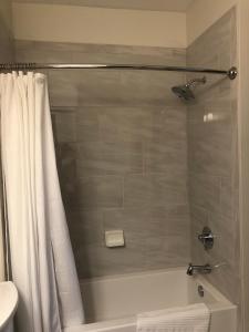 a bathroom with a bath tub with a shower curtain at The Vine Bed & Breakfast, LLC in Dundee