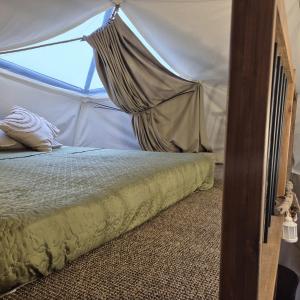 a bedroom with a bed in a tent at Žvaigždžių slėnis - Kupolai in Sližiai