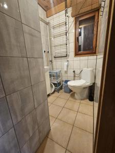 un baño con inodoro y lavabo en Domki pod Lasem Rymanów Zdrój, en Rymanów-Zdrój