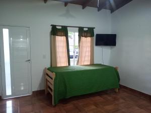 a bedroom with a green bed and a television at Dabra in Mar de Ajó