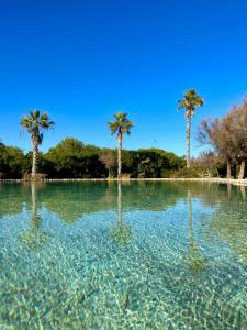 Φυσικό τοπίο κοντά σε αυτό το διαμέρισμα
