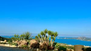 Příroda nedaleko vily + 50 fotografií