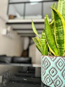 Η κουζίνα ή μικρή κουζίνα στο Celeste's House