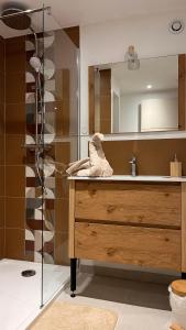 ベラックにあるStudio cosy idéal pour Séjours Courts ou Longsの洗面台と鏡のあるバスルーム