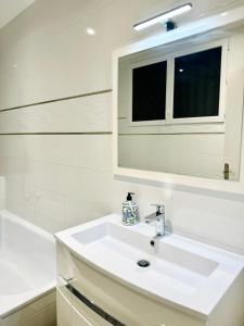 a bathroom with a white sink and a mirror at Cozy apartment with garden in Vitry-sur-Seine +20 photos