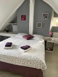 Postel nebo postele na pokoji v ubytování Maison de Campagne Le Pâtis aux Chevaux proche circuit 24H et Le Mans + 10 fotografií