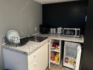 a kitchen counter with a sink and a microwave at Luxury & Free Parking Bachelor in Ottawa