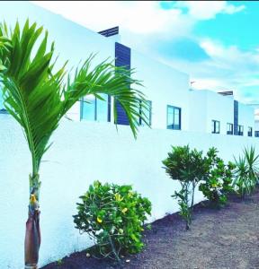 Giardino di 3bed villa with private pool and rooftop with a sea view in flic-en-flac, Mauritius