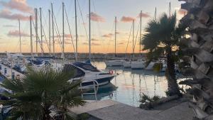 un grupo de barcos atracados en un puerto con una palmera en SABRINA MAISON CHIC Dolce Nido sul Mare, en San Bartolomeo al Mare
