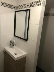 a bathroom with a sink and a mirror at Le Nid, petit studio cosy et central in Besançon