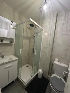 a bathroom with a shower and a toilet and a sink at Au calme in Saint-Brieuc