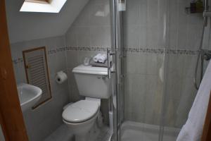 a small bathroom with a toilet and a shower at Frogwell in Strete +16 photos
