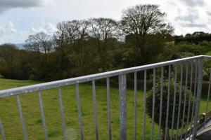 a metal fence in a field with a bush at Frogwell in Strete
