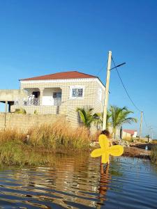 a person in the water with a large yellow flower at Ferienwohnung am Vogelschutzgebiet in Tanji