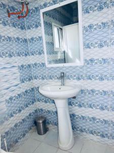 a bathroom with a sink and a mirror at Ferienwohnung am Vogelschutzgebiet in Tanji +6 photos