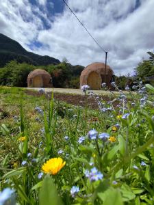 Φωτογραφία από το άλμπουμ του Domotel Aysen 4 personas excelente conectividad σε Puerto Aisen
