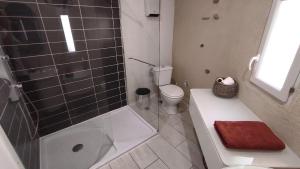 a bathroom with a shower and a toilet and a sink at Appartement cosy avec terrasse in Sainte-Foy-la-Grande