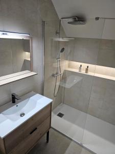 Un baño con ducha, lavabo y espejo. en Maison cosy avec jardin, Disney, en Favières