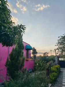 a pink building with a window and a green roof at Casa Aply in San Andrés Huayapan +60 photos