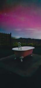 a bath tub sitting on the side of the road at The Bonnie Wee Bothy in East Linton +19 photos