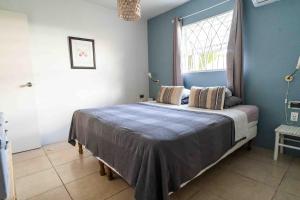 a bedroom with a bed with blue walls and a window at Botanical Apartment Central Boho style 2 pools in Willemstad +36 photos