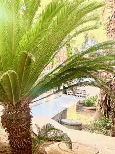 Zahrada ubytování FeWo-Antalya Holiday Appartments