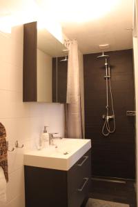 a bathroom with a sink and a shower at Raadhuis Egmond in Egmond aan den Hoef