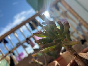 Φωτογραφία από το άλμπουμ του Habitación Pink σε Maipu