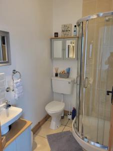 um banheiro com vaso sanitário e chuveiro de vidro em Coastal View Cottage em Mullagh