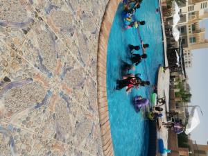 Πισίνα στο ή κοντά στο شاليه المحبه قريه عايده الساحل الشمالي