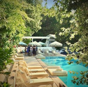 Πισίνα στο ή κοντά στο St Helena - Blair Spangler Design Group