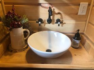 a sink in a bathroom with a bowl on a counter at Adirondack Cabin in Schroon Lake