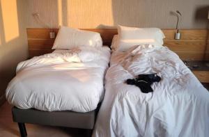 a black cat laying on top of two beds at Issy Citea Access dayuse Room - Work and Day Rest Timeshare -- 2 min tram - Formule Temps Partagé -- Navette ile d'Issy Avenue Paris 92320 espace nuit in Issy-les-Moulineaux +37 photos