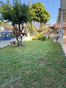 a grassy yard with a tree and a building at Taya house in Ban Nong Na Sai