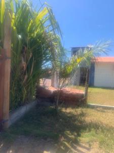 En have udenfor Casa na Praia de Saquaira - Península de Maraú. + 25 billeder