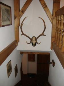 a deer antlers on the wall of a room at Landhaus Kurz in Golling an der Salzach